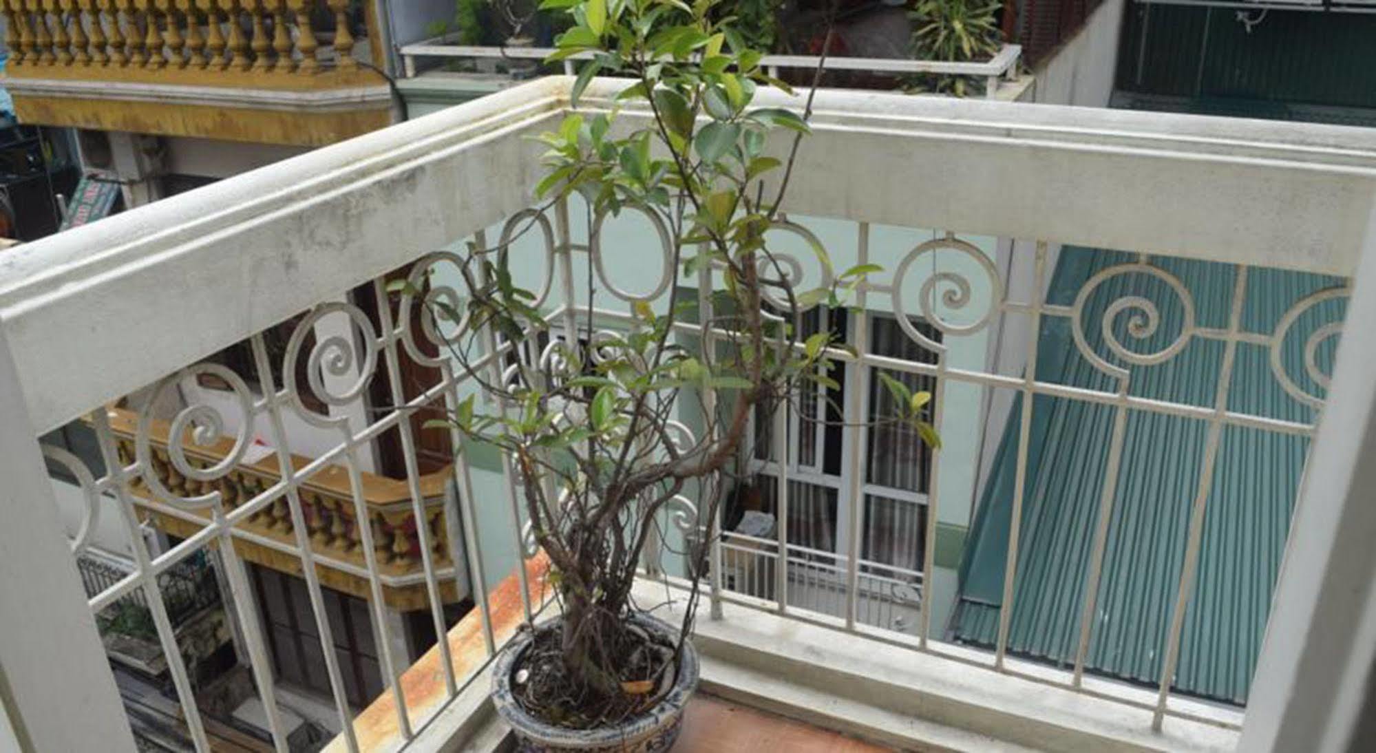 Hanoi Massive Hostel Dış mekan fotoğraf
